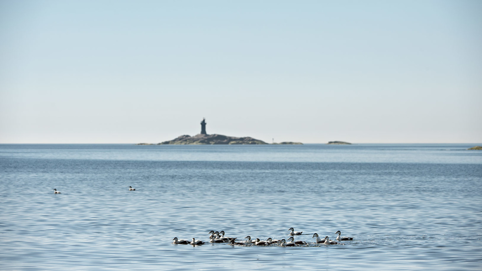 Gasum Baltic Sea Action Group