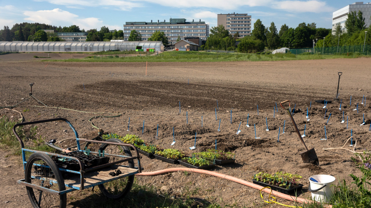 Research setups on the fields of Viikki.