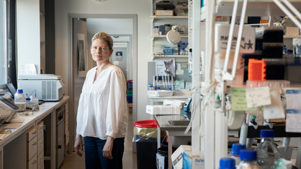 Anna-Liisa Laine looks at the camera in the lab.